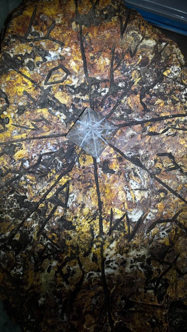 3770CABC-047F-42CD-A207-B9439189C821